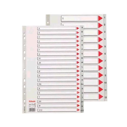 ESSELTE DIVISORIO PER RUBRICA ALFABETICA IN PP 245X297 mm PERFORAZIONE UNIVERSALE 20 TASTI GRIGIO