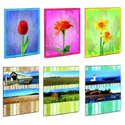 LEBEZ ALBUM A TASCA 80 FOTO IN PLASTICA 17.5X21.5 CM FANTASIE ASSORTITE