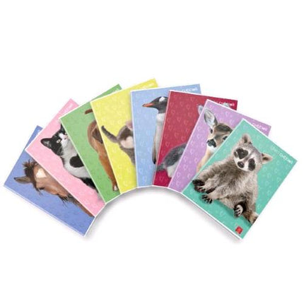 PIGNA DOLCI CUCCIOLI MAXI QUADERNO PUNTO METALLICO 80 GR A4 42 FOGLI A RIGHE 0C 8 SOGGETTI ASSORTITI CONF 10 Pz.