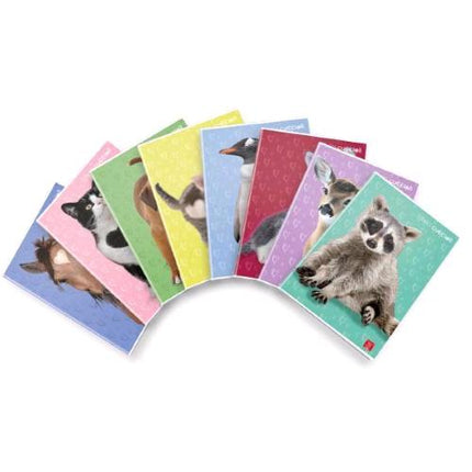 PIGNA DOLCI CUCCIOLI MAXI QUADERNO PUNTO METALLICO 80 GR A4 42 FOGLI A QUADRETTI 10 8 SOGGETTI ASSORTITI CONF 10 Pz.