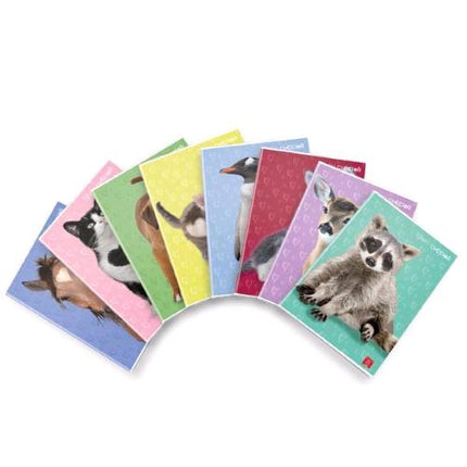 PIGNA DOLCI CUCCIOLI MAXI QUADERNO PUNTO METALLICO 80 GR A4 42 FOGLI A QUADRETTI 4M 8 SOGGETTI ASSORTITI CONF 10 Pz.CF10 MAXI D.CUCCIOLI 42FF 4M F.TOA4