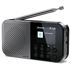 Sharp DR-P520(gy) radio digitale portatile display LCD Bluetooth lettore audio mono DAB+/FM doppia sveglia grigio