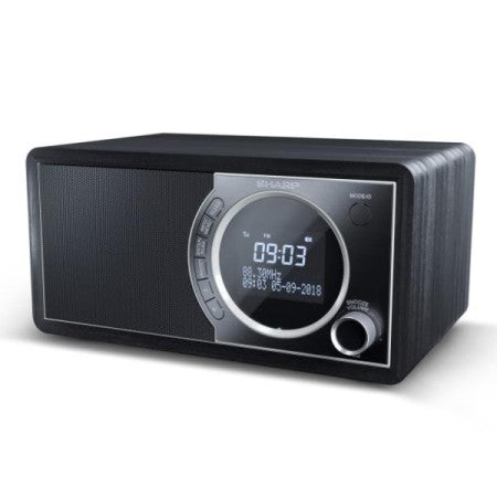 Radio e audio portatile